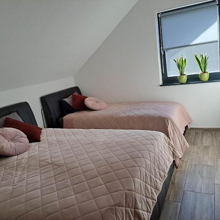 Apartmaji Tisa In Zana Rovte Εξωτερικό φωτογραφία