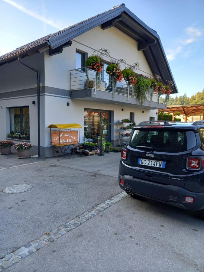 Apartmaji Tisa In Zana Rovte Εξωτερικό φωτογραφία
