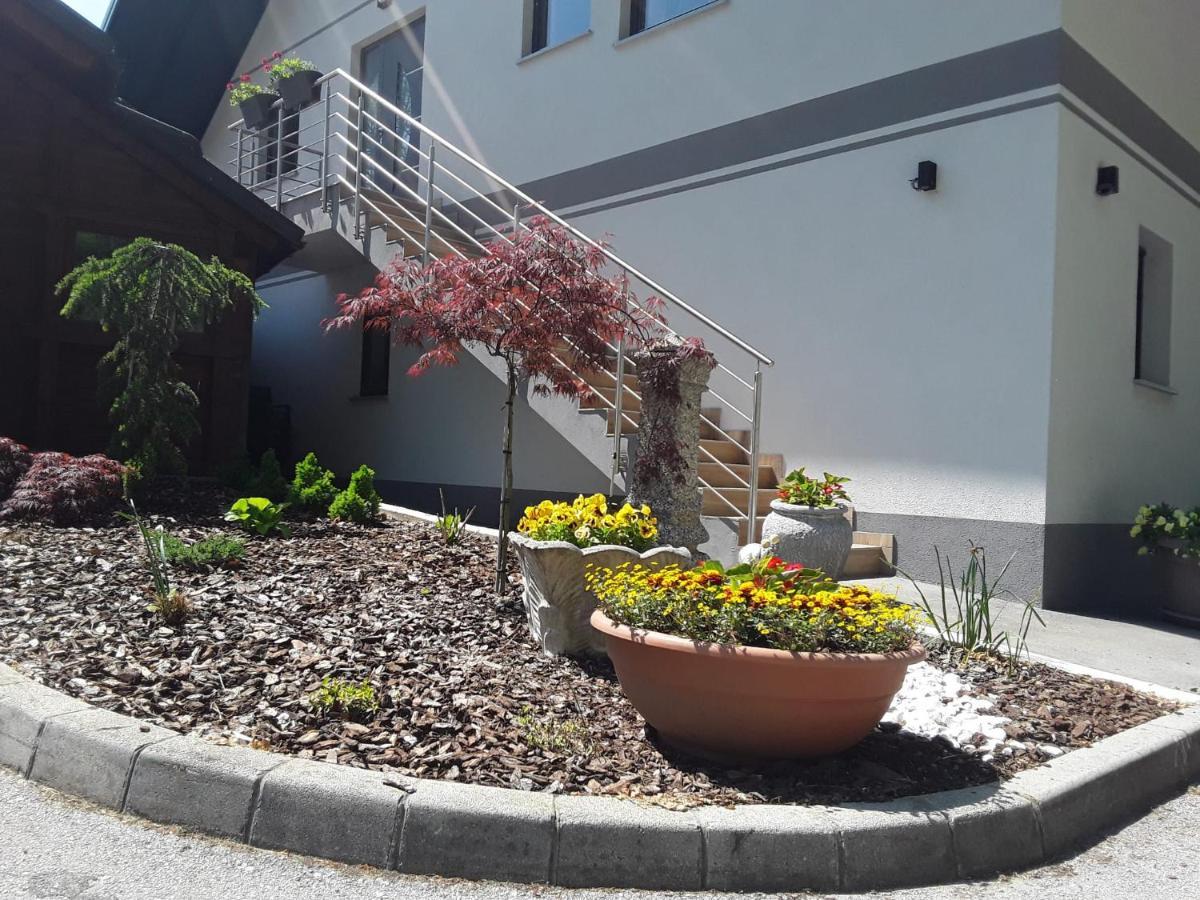 Apartmaji Tisa In Zana Rovte Εξωτερικό φωτογραφία