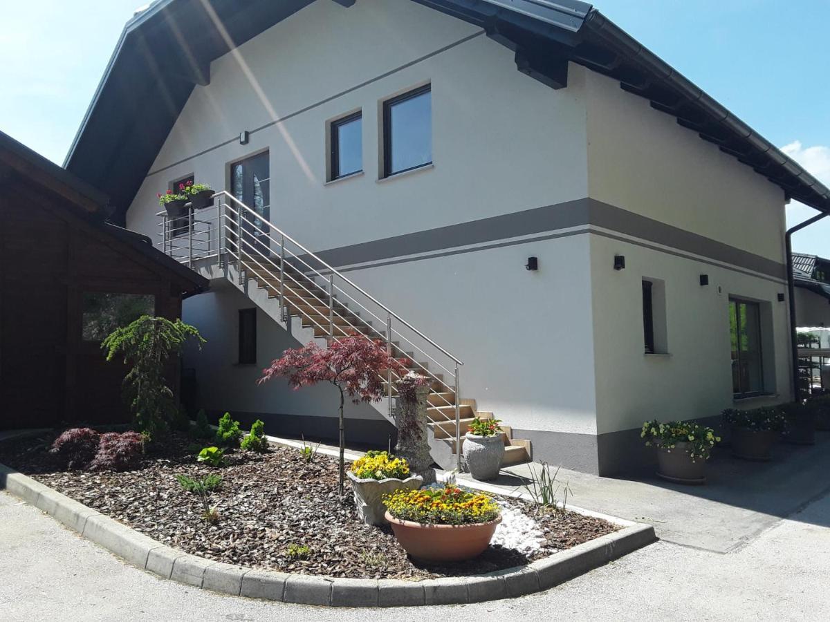 Apartmaji Tisa In Zana Rovte Εξωτερικό φωτογραφία