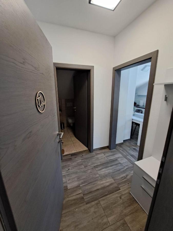 Apartmaji Tisa In Zana Rovte Εξωτερικό φωτογραφία