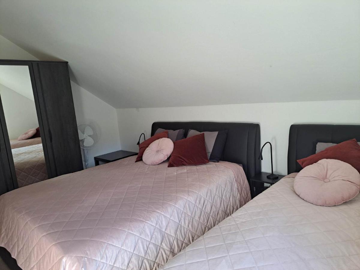 Apartmaji Tisa In Zana Rovte Εξωτερικό φωτογραφία