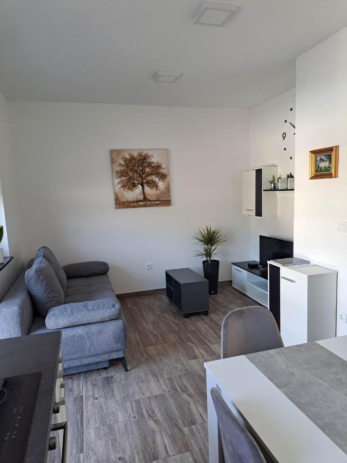 Apartmaji Tisa In Zana Rovte Εξωτερικό φωτογραφία