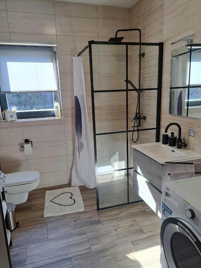 Apartmaji Tisa In Zana Rovte Εξωτερικό φωτογραφία