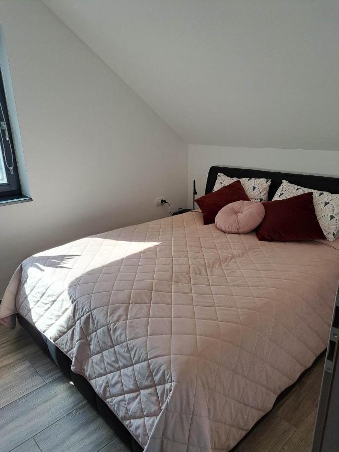 Apartmaji Tisa In Zana Rovte Εξωτερικό φωτογραφία